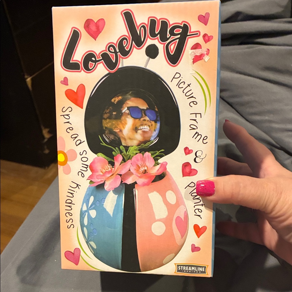 Lovebug Pink & Blue Picture Frame and Planter